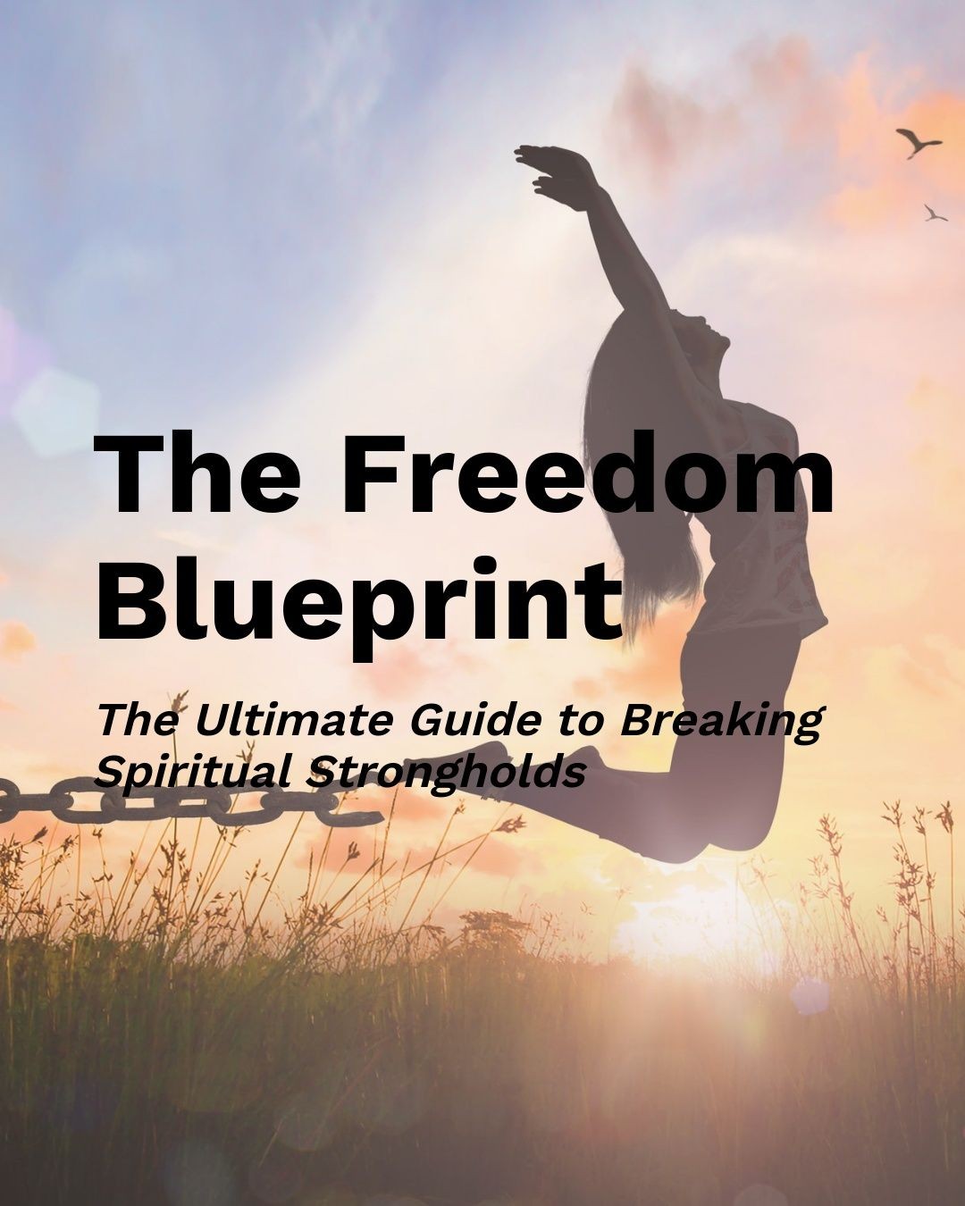 The Freedom Blueprint